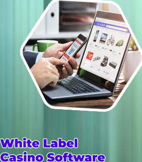 Casino online best web application development company