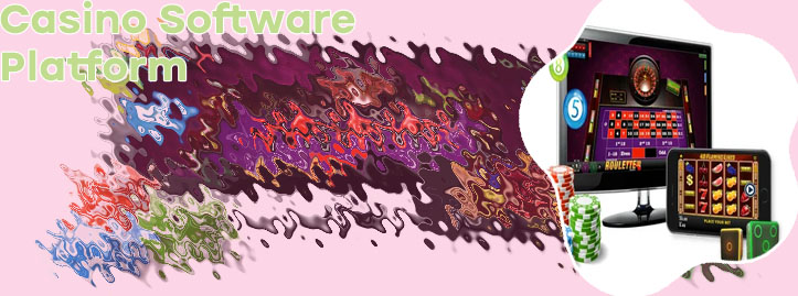 Casino website software
