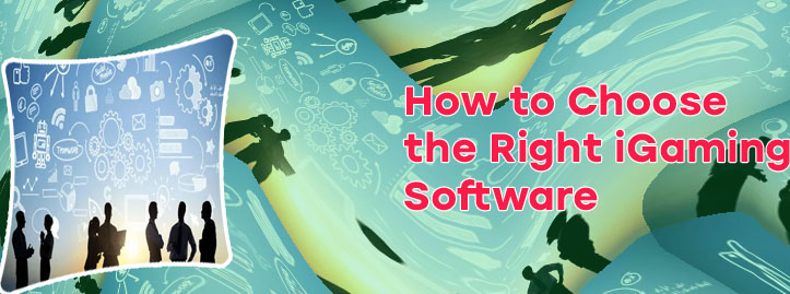 Igaming business software development business