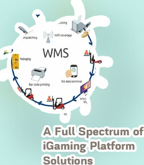 Igaming products local software development companies