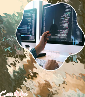 Software development case studies
