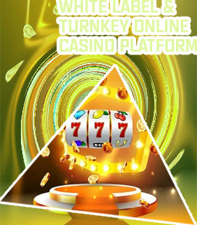 Turnkey online casino software
