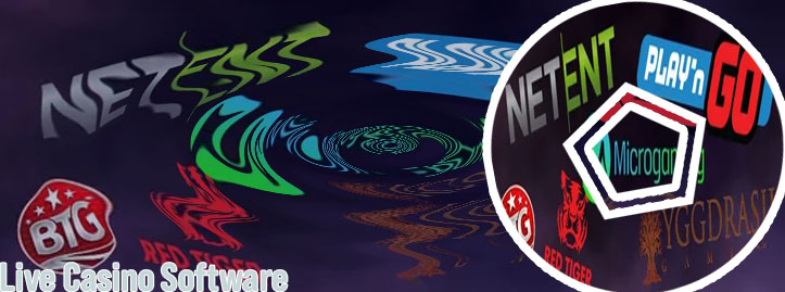 Virtual casino software services